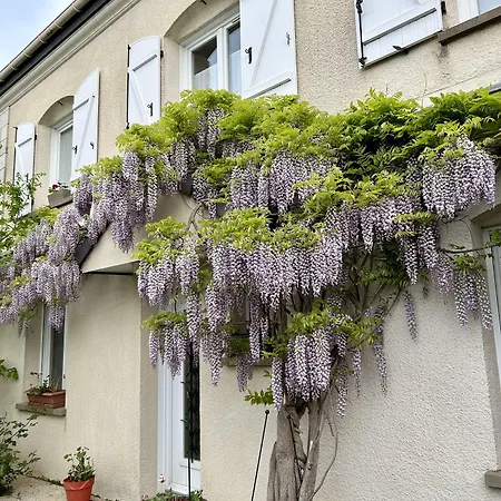 Couette-café Les Champenoises Tinqueux