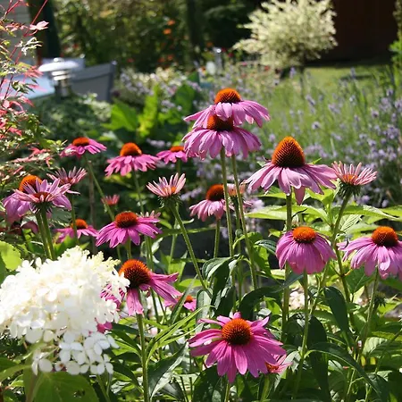 Les Champenoises Bed & Breakfast 3*