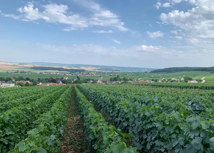 Les Champenoises Bed and breakfast