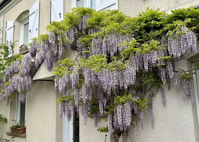 Couette-café Les Champenoises Tinqueux