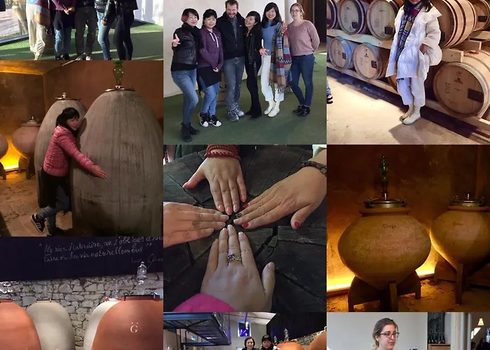 Bed and breakfast Les Champenoises